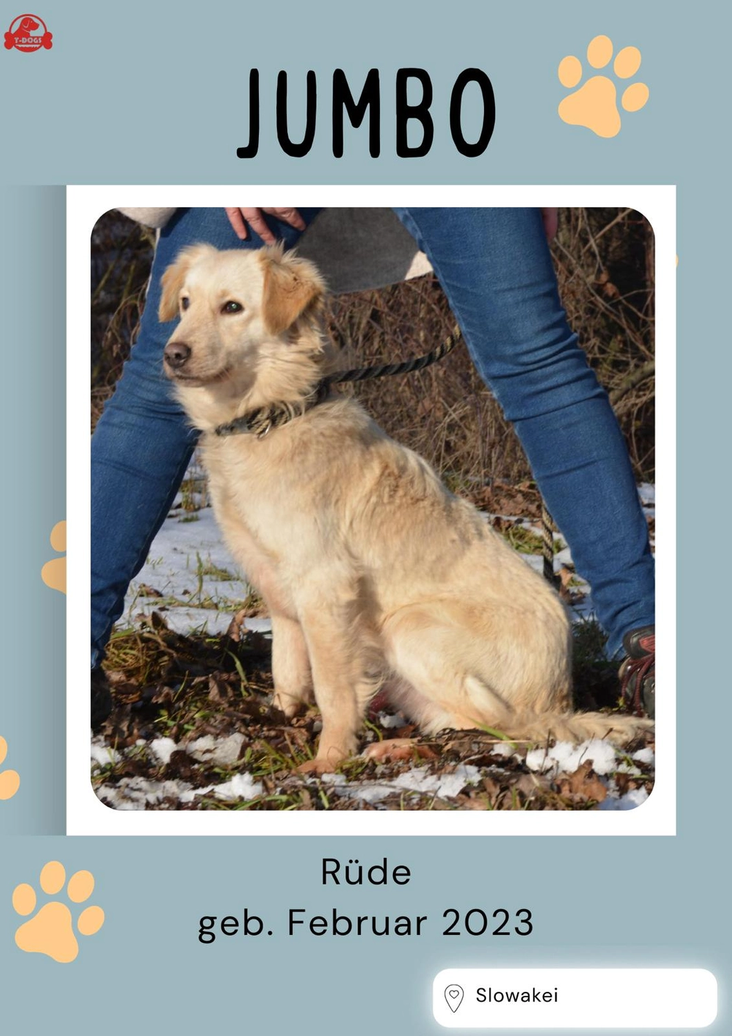 T-Dogs Tierschutzverein Burgsinn
