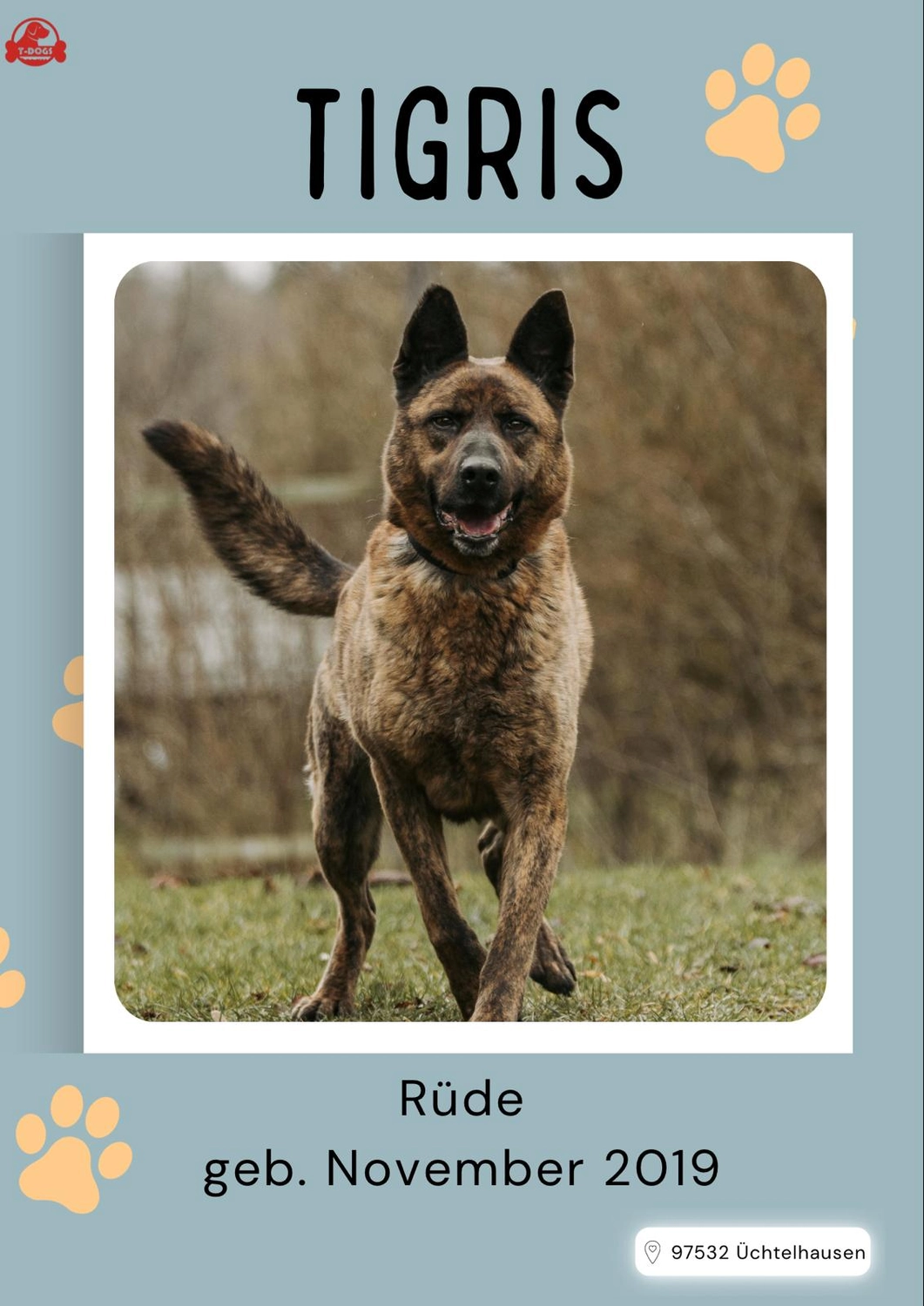 T-Dogs Tierschutzverein Burgsinn