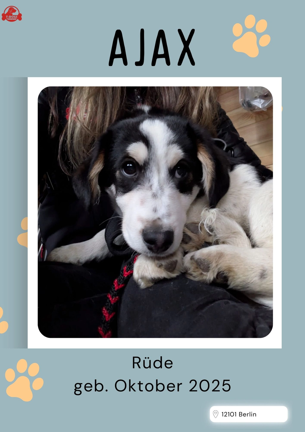 T-Dogs Tierschutzverein Burgsinn