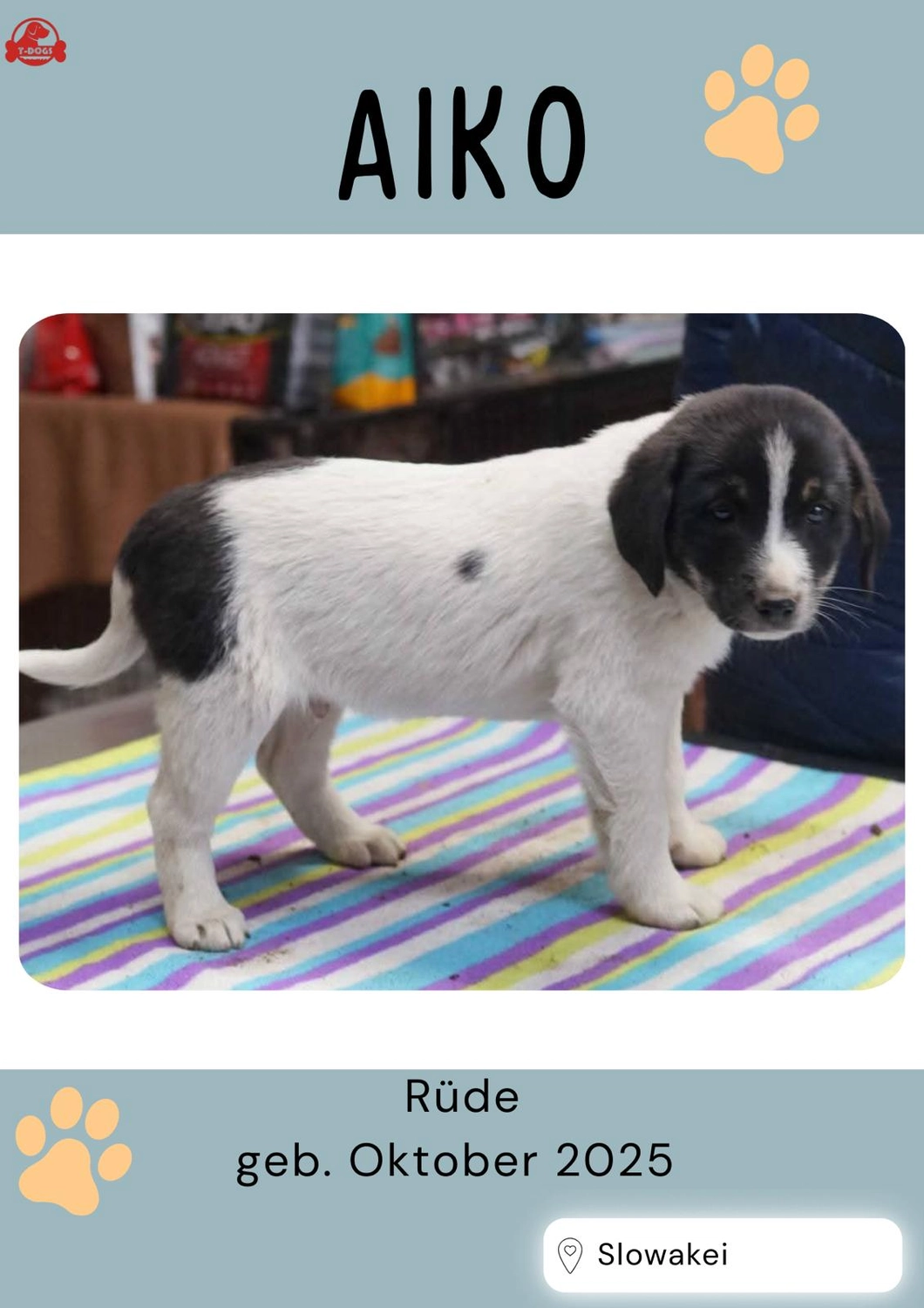T-Dogs Hundevermittlung in 97775 Burgsinn