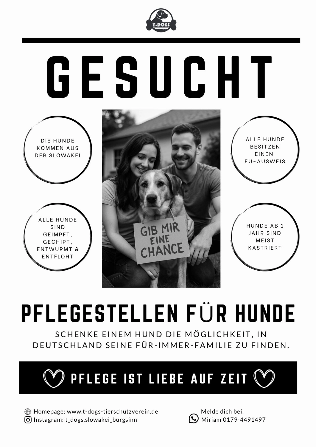 T-Dogs e.V., Hund sitzt auf Sofa