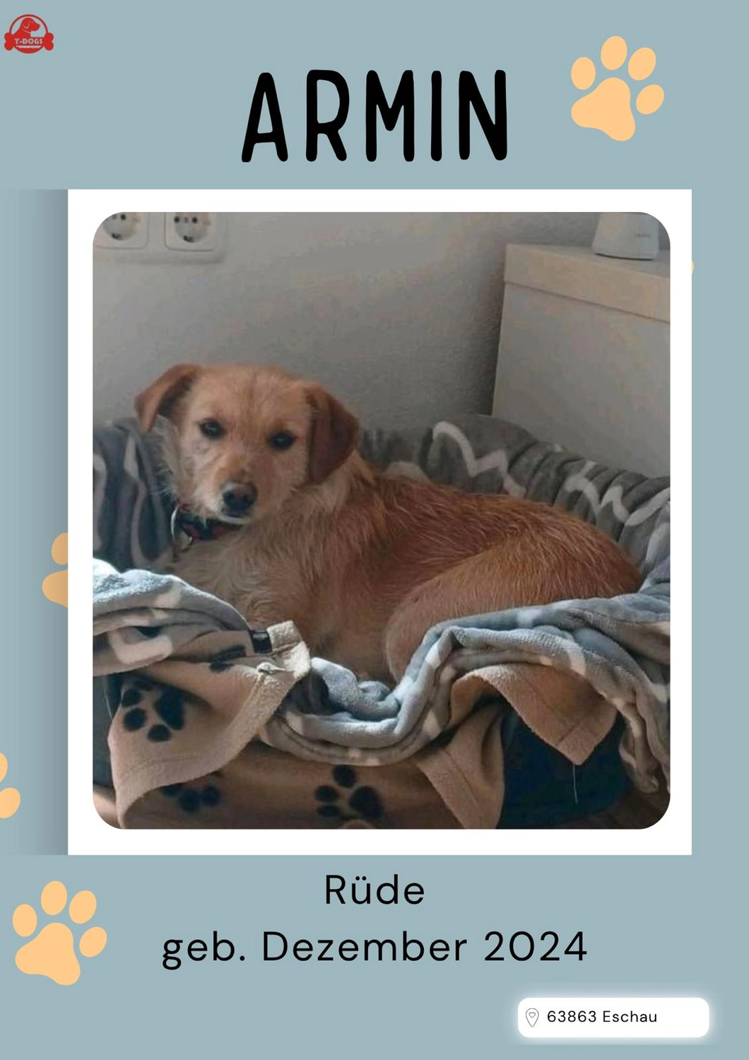 T-Dogs Tierschutzverein Burgsinn