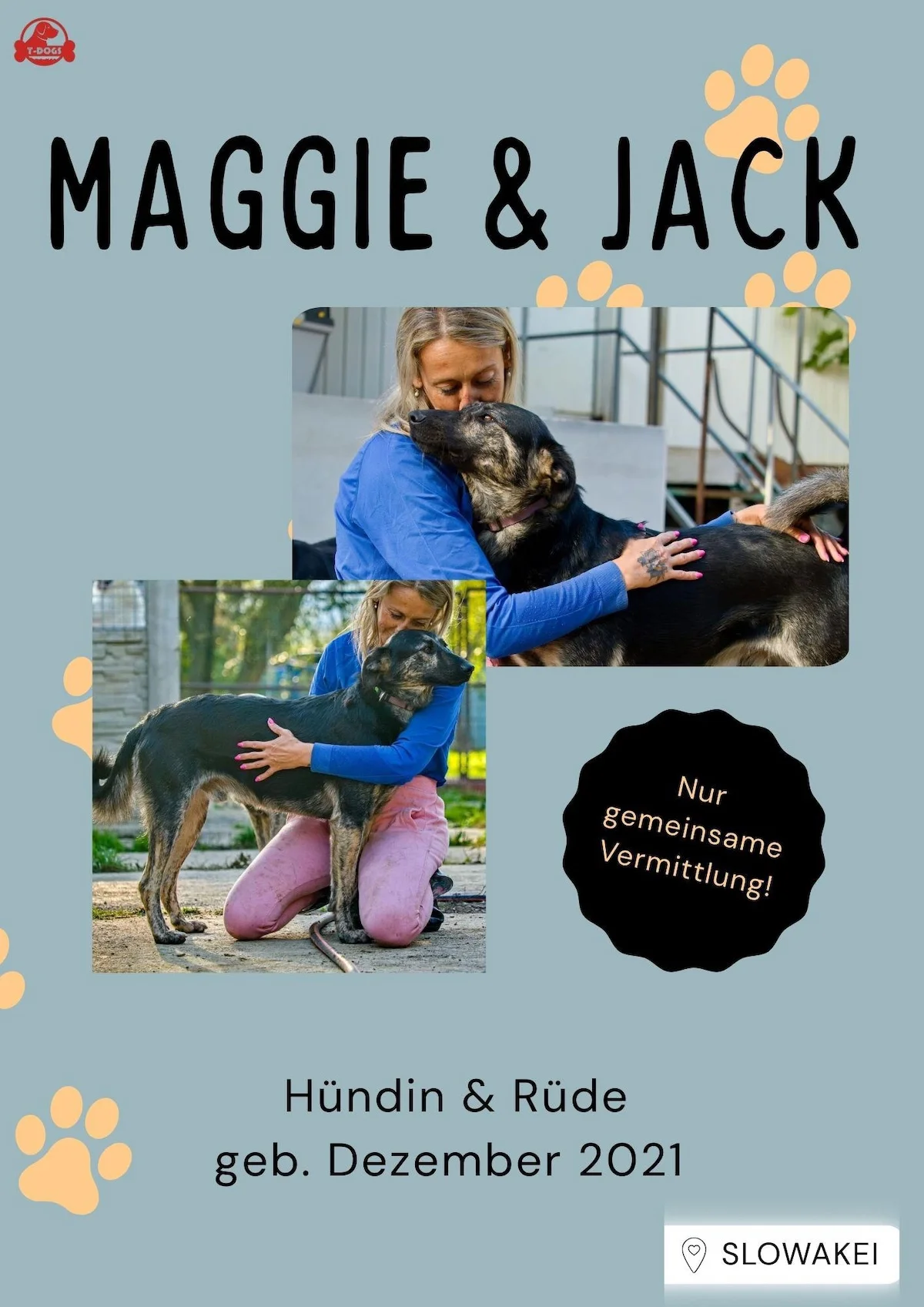 T-Dogs Tierschutzverein Burgsinn