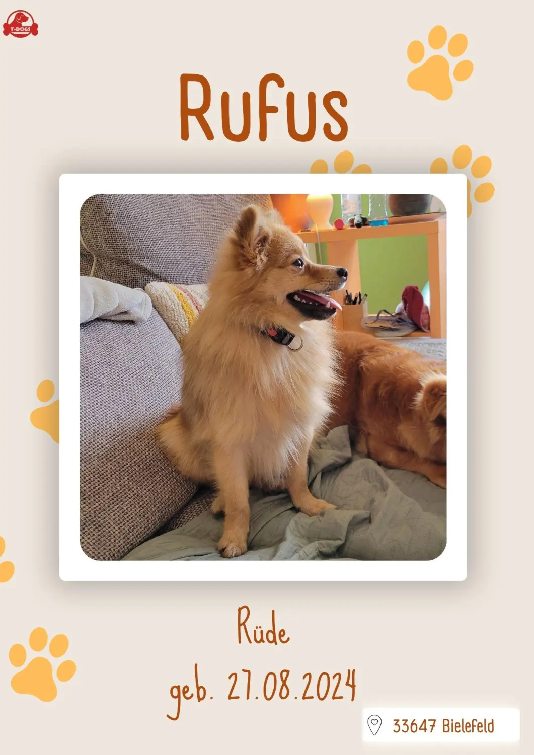 T-Dogs Hundevermittlung in 97775 Burgsinn